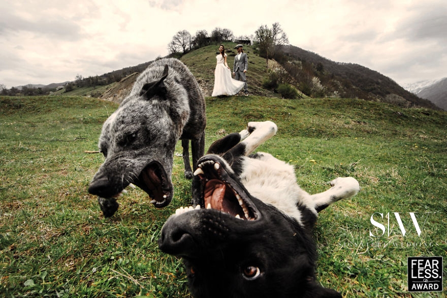 wedding-photography, ideas, be-inspired - These Are Some of the Best Photos From the Fearless Awards that Are Stunning