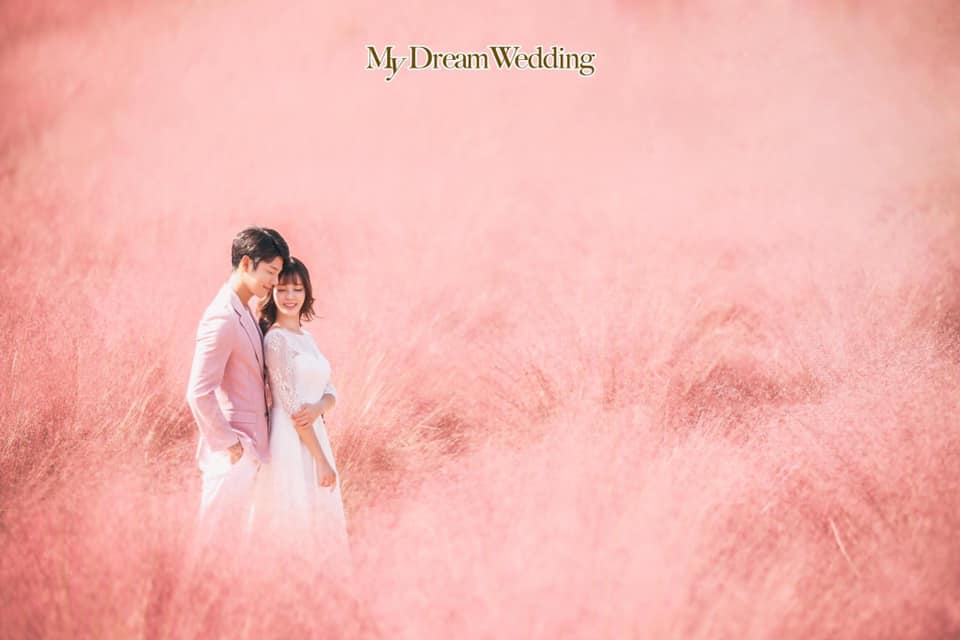 wedding-photography, malaysia - Picture Perfect with My Dream Wedding