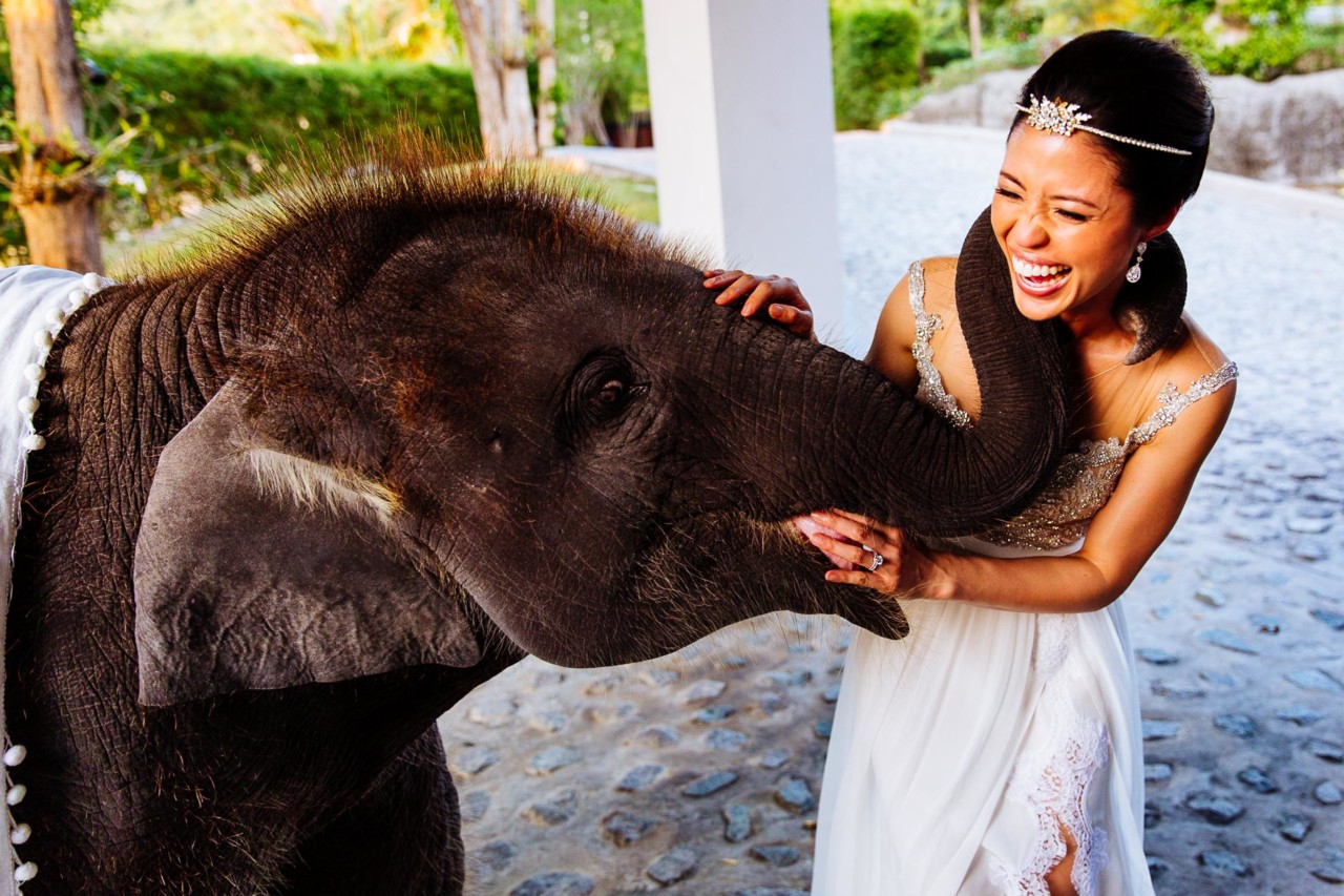 Tarika & Nick's Luxurious Wedding in Phuket ideas, wedding, thailand, phuket, tips - Tarika & Nick's Luxurious Wedding in Phuket