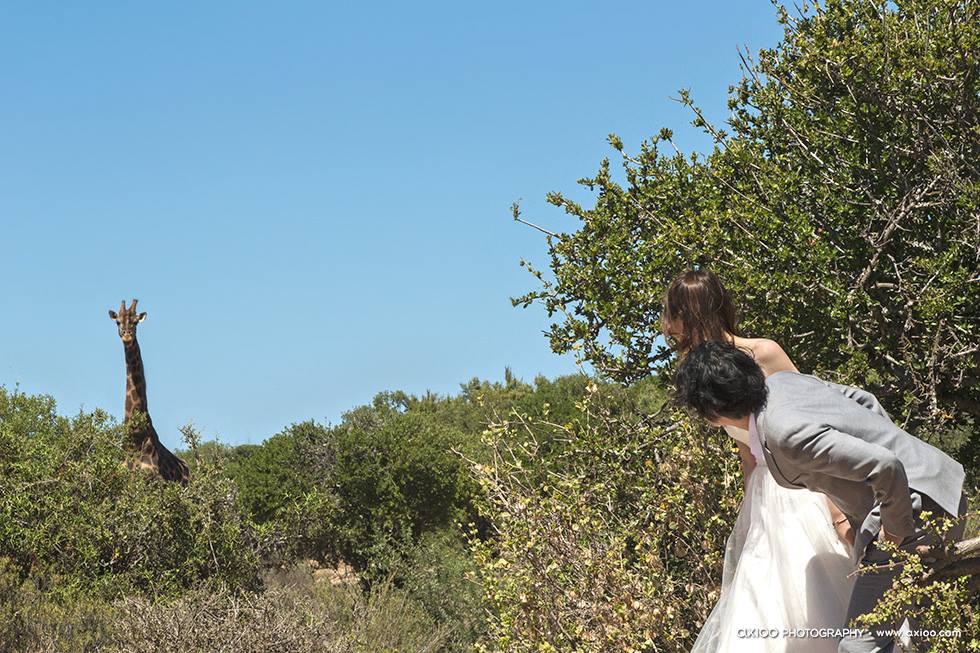 Martin & Janet's Cape Town Engagement by Axioo travel, engagement - Martin & Janet's Cape Town Engagement by Axioo