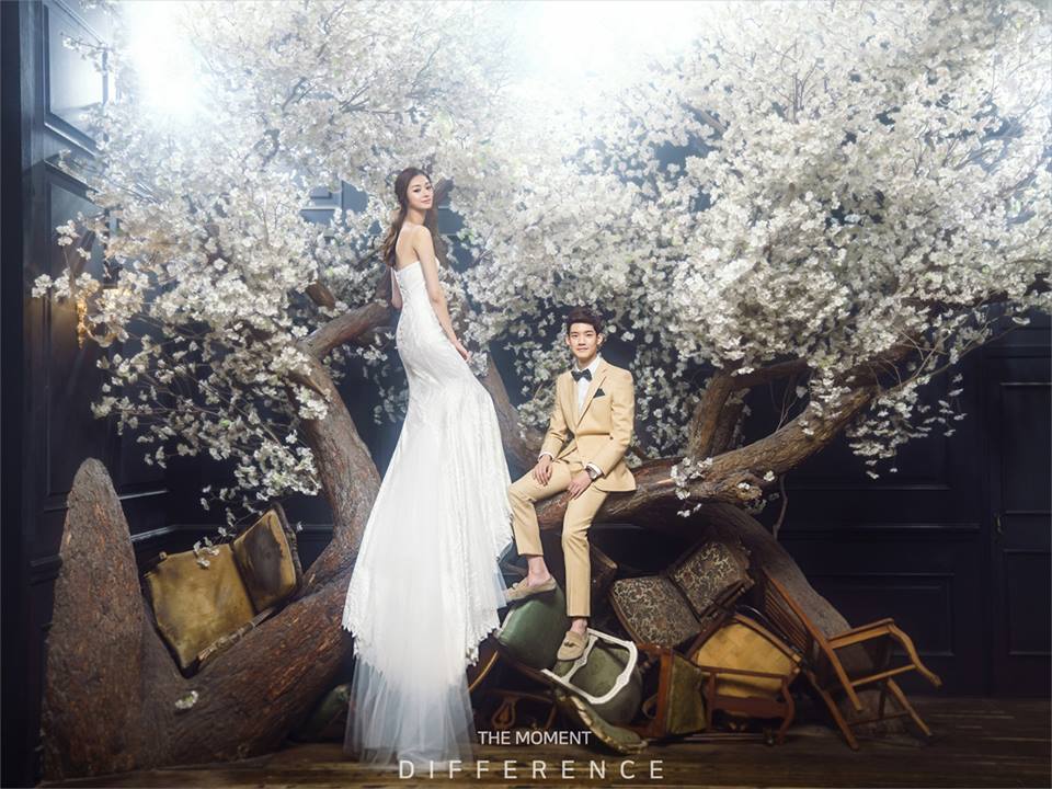 Studio Wonkyu+'s 10th Anniversary Portfolio ideas, tips, engagement - Studio Wonkyu+'s 10th Anniversary Portfolio