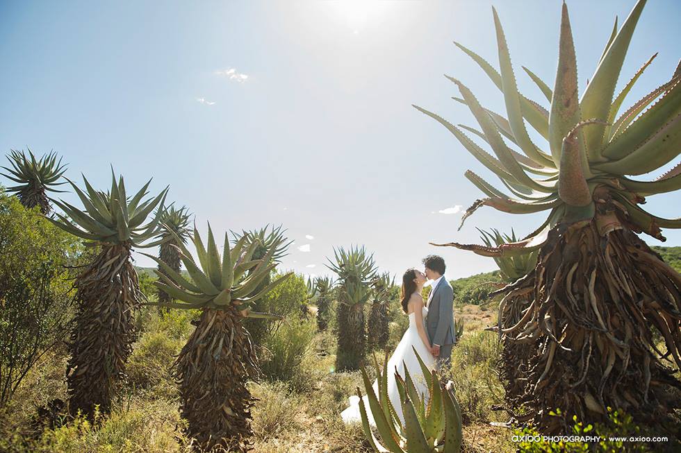 Martin & Janet's Cape Town Engagement by Axioo travel, engagement - Martin & Janet's Cape Town Engagement by Axioo