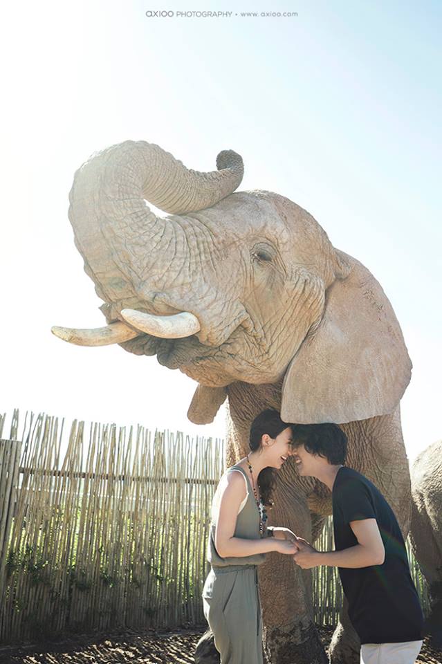 Martin & Janet's Cape Town Engagement by Axioo travel, engagement - Martin & Janet's Cape Town Engagement by Axioo