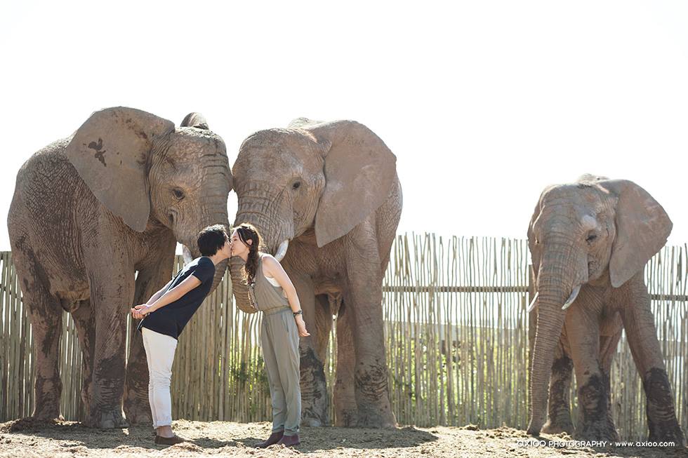 Martin & Janet's Cape Town Engagement by Axioo travel, engagement - Martin & Janet's Cape Town Engagement by Axioo