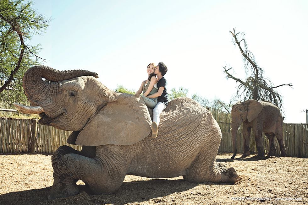 Martin & Janet's Cape Town Engagement by Axioo travel, engagement - Martin & Janet's Cape Town Engagement by Axioo