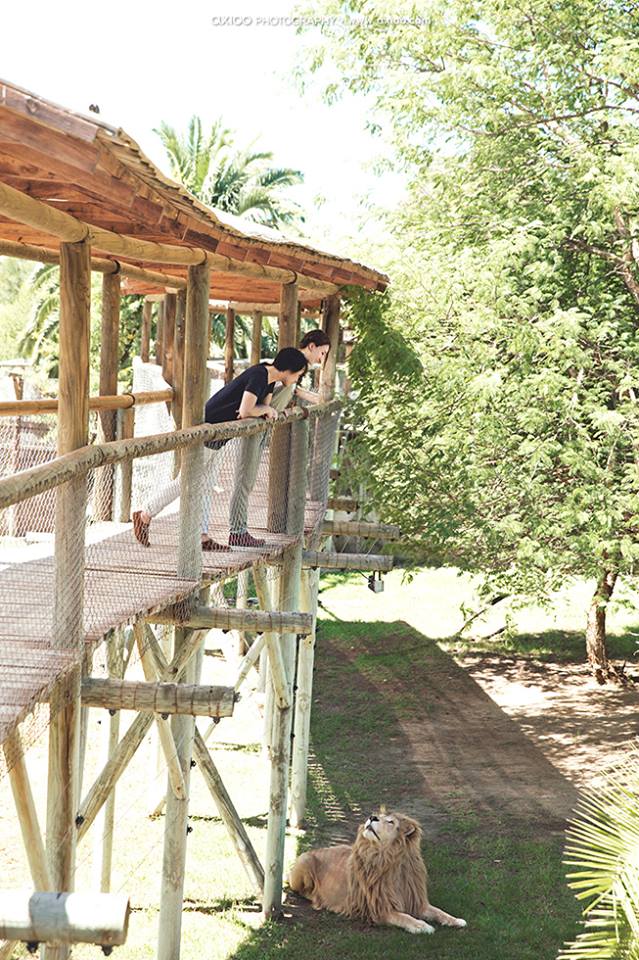 Martin & Janet's Cape Town Engagement by Axioo travel, engagement - Martin & Janet's Cape Town Engagement by Axioo