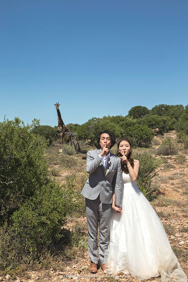 Martin & Janet's Cape Town Engagement by Axioo travel, engagement - Martin & Janet's Cape Town Engagement by Axioo