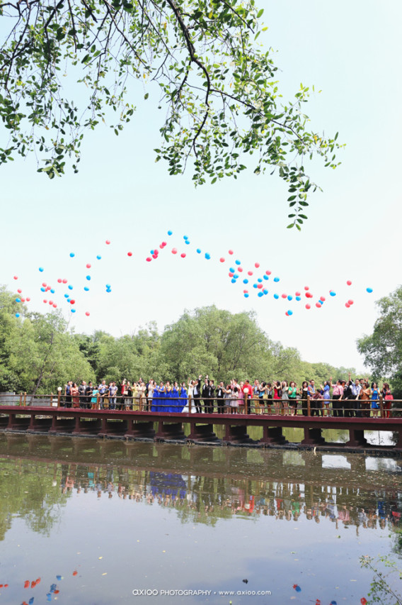 Abi & Herna's Fairy Tale Wedding ideas, wedding - Abi & Herna's Fairy Tale Wedding