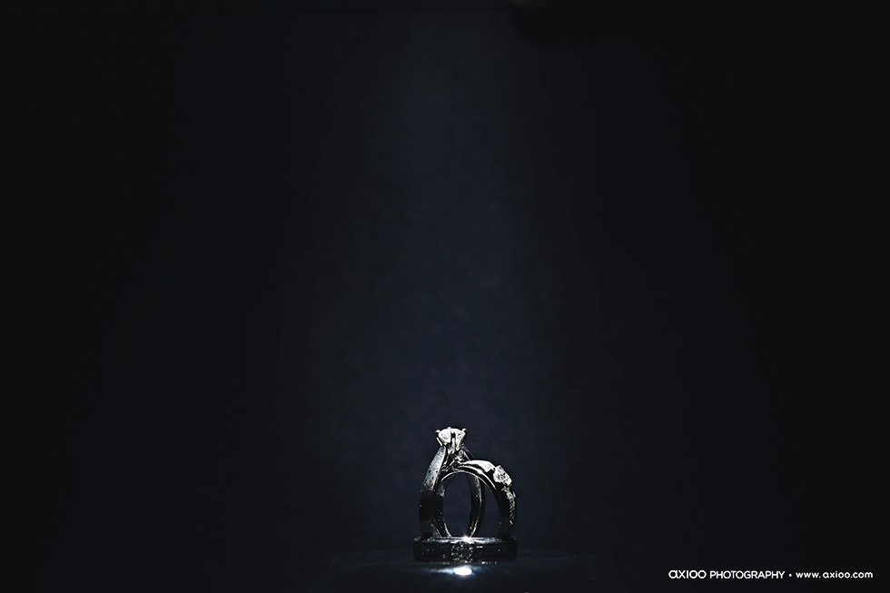 Oscar & Raina's Lavish Wedding wedding - Oscar & Raina's Lavish Wedding