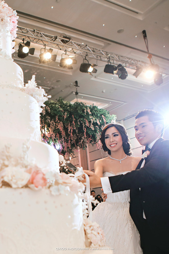 Oscar & Raina's Lavish Wedding wedding - Oscar & Raina's Lavish Wedding