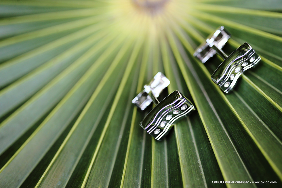 Oscar & Raina's Lavish Wedding wedding - Oscar & Raina's Lavish Wedding