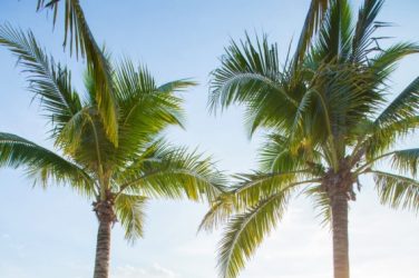 WeddingBoutiqueJ&Y_157b WeddingBoutiqueJ&Y_157b