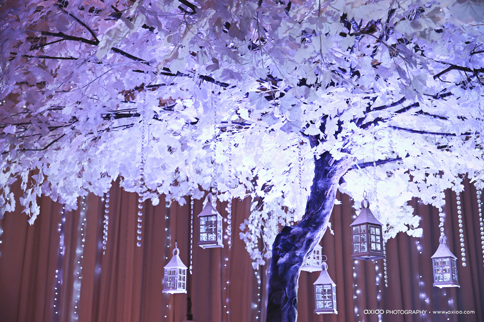 ideas, wedding - Derian and Merlinda's Marvelous Wedding