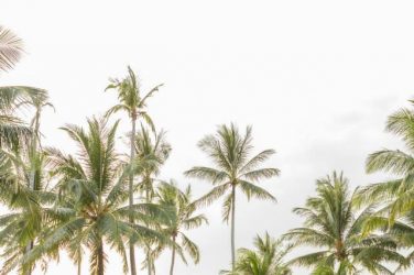 lucinda-jethro-32 lucinda-jethro-32