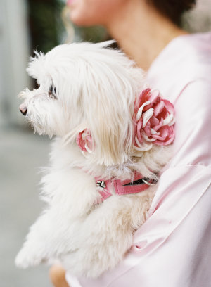 Camelia & Mark's Dreamy Wedding wedding - Camelia & Mark's Dreamy Wedding