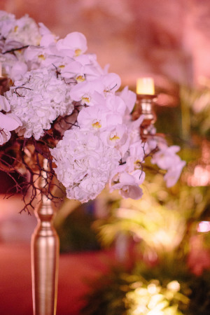 Laura & David's Historical Wedding in Puerto Rico wedding - Laura & David's Historical Wedding in Puerto Rico