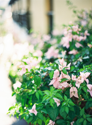 Laura & David's Historical Wedding in Puerto Rico wedding - Laura & David's Historical Wedding in Puerto Rico