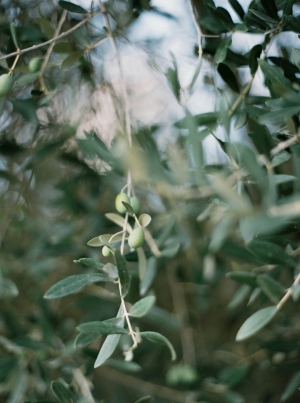 Lindsay & Michael's Quaint Little Hillside Villa Wedding in Italy wedding - Lindsay & Michael's Quaint Little Hillside Villa Wedding in Italy
