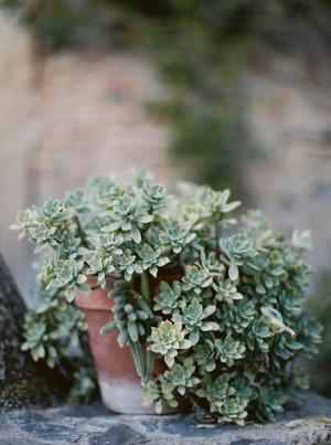 Lindsay & Michael's Quaint Little Hillside Villa Wedding in Italy wedding - Lindsay & Michael's Quaint Little Hillside Villa Wedding in Italy