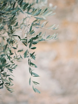 Lindsay & Michael's Quaint Little Hillside Villa Wedding in Italy wedding - Lindsay & Michael's Quaint Little Hillside Villa Wedding in Italy