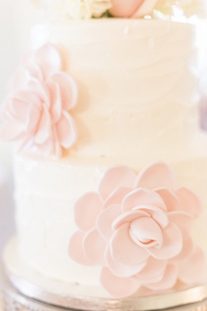 Mona & Christian's Pink and Gold Wedding at The Henry Ford Museum wedding - Mona & Christian's Pink and Gold Wedding at The Henry Ford Museum