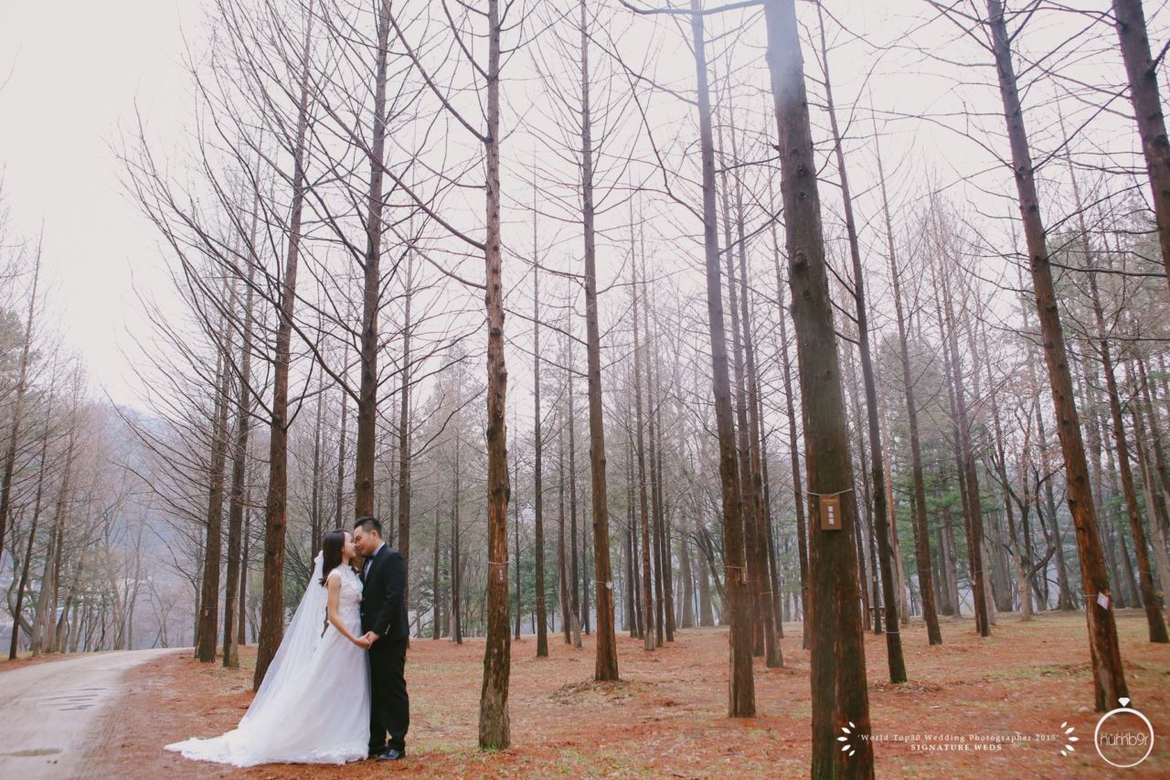 Our Picks of The Best Photographers & Videographers in Malaysia malaysia, tips - Our Picks of The Best Photographers & Videographers in Malaysia