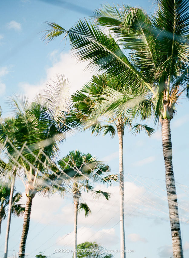 Tri & Stephanie's Magical Bali Wedding ideas, wedding, bali-wedding - Tri & Stephanie's Magical Bali Wedding