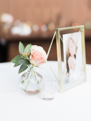 Kelly & Steve's Intimate Garden Wedding in San Juan Capistrano wedding - Kelly & Steve's Intimate Garden Wedding in San Juan Capistrano