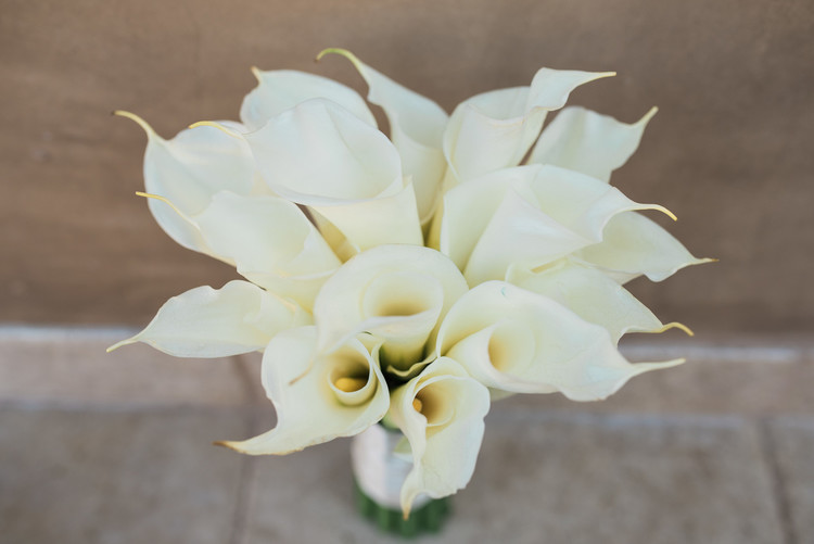 Natasha & Drew's Breathtaking California Wedding wedding - Natasha & Drew's Breathtaking California Wedding