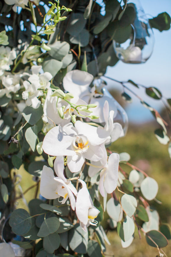 Natasha & Drew's Breathtaking California Wedding wedding - Natasha & Drew's Breathtaking California Wedding