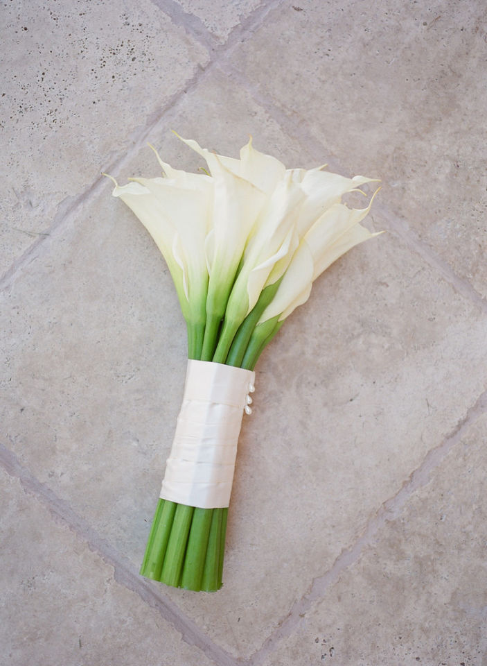 Natasha & Drew's Stunning Malibu Wedding wedding - Natasha & Drew's Stunning Malibu Wedding