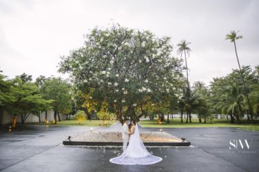 Jenny & Calvin's Koh Samui Destination Wedding in Summer Rain thailand, destination-weddings - Jenny & Calvin's Koh Samui Destination Wedding in Summer Rain